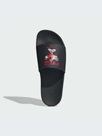 Шлёпанцы Adidas Adilette модель KH6902-KZ Фото