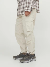Брюки JACK & JONES модель 12242264_Moonbeam Фото