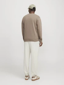 Брюки JACK & JONES модель 12257964_Moonbeam Фото