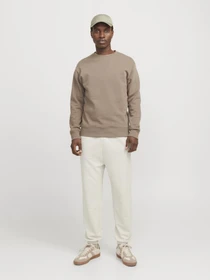 Брюки JACK & JONES модель 12257964_Moonbeam Фото