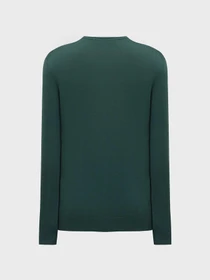 Свитры и кардиганы MEXX модель MF006601443M_DARKGREEN Фото