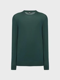 Свитерлер мен кардигандар MEXX үлгі MF006601443M_DARKGREEN Фото