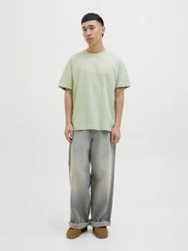 Футболки и поло JACK & JONES модель 12273646_CeladonTint Фото