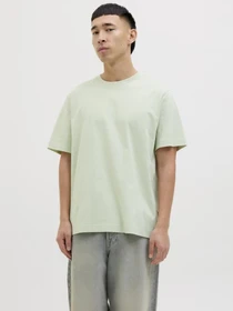 Футболки и поло JACK & JONES модель 12273646_CeladonTint Фото
