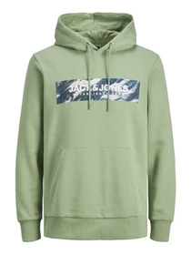 Худи и свитшоты JACK & JONES модель 12217114_LodenFrost Фото