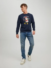 Худи и свитшоты JACK & JONES модель 12219685_NavyBlazer Фото