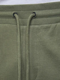 Шорты JACK & JONES модель 12182595_Dustyolive Фото