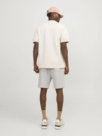 Шорты JACK & JONES модель 12252251_Moonbeam Фото