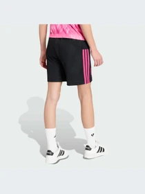 Шорты Adidas модель KR1756-KZ Фото