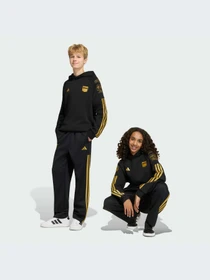 Брюки Adidas модель HZ0907-KZ Фото