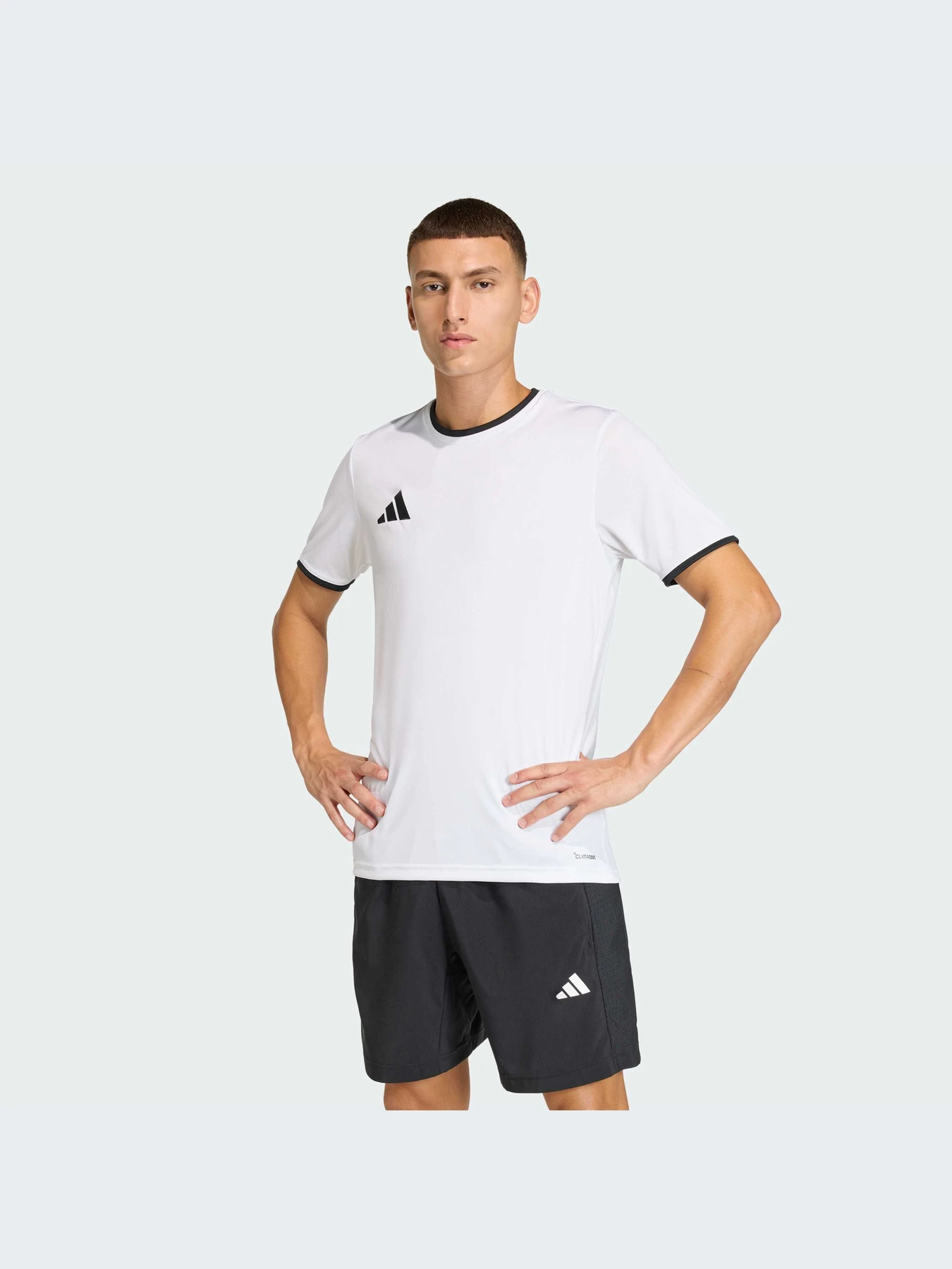 Футболки и поло Adidas модель JZ2508-KZ Футболки и поло Adidas модель JZ2508-KZ Фото