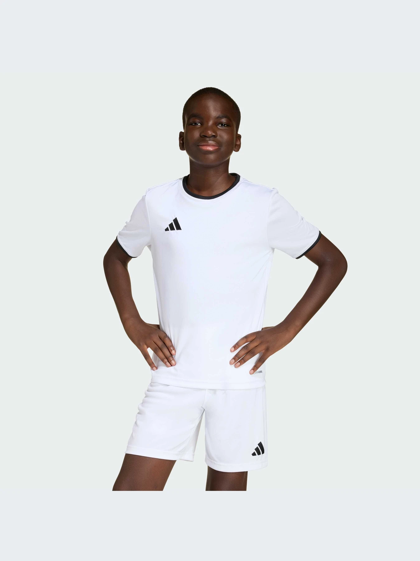 Футболки и поло Adidas модель JZ2532-KZ Футболки и поло Adidas модель JZ2532-KZ Фото