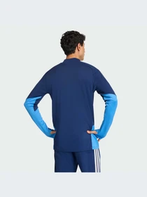 Худи и свитшоты Adidas Tiro модель JY6398-KZ Фото