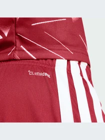 Шорты Adidas модель KA6854-KZ Фото