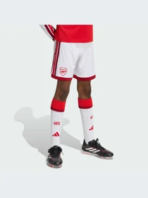 Шорты Adidas модель KB9941-KZ Фото