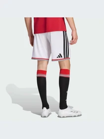 Шорты Adidas модель KA6872-KZ Фото