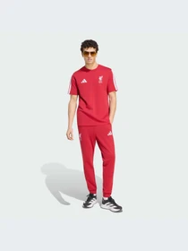 Брюки Adidas модель KG2497-KZ Фото