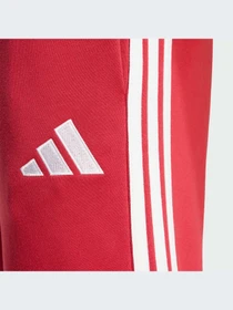 Брюки Adidas модель KG2497-KZ Фото