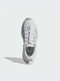 Кроссовки Adidas Terrex модель KJ0181-KZ Фото