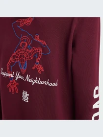 Худи и свитшоты Adidas модель KS3961-KZ Фото