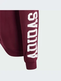 Худи и свитшоты Adidas модель KS3961-KZ Фото