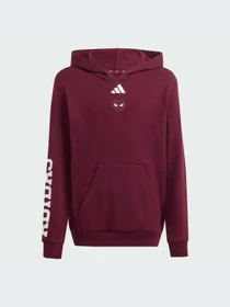 Худи и свитшоты Adidas модель KS3961-KZ Фото