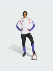 Худи и свитшоты Adidas Tiro модель KS2858-KZ Фото
