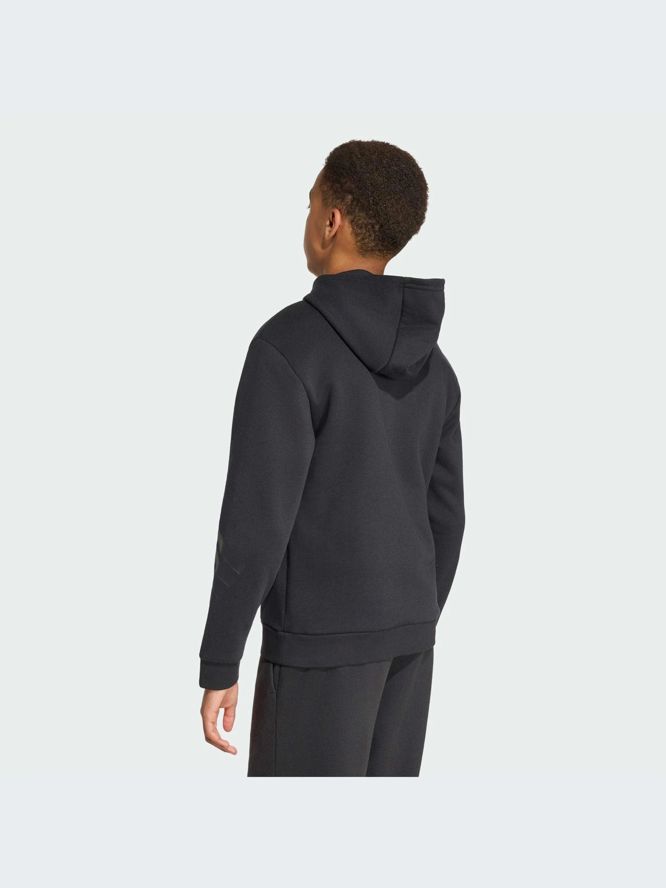 Худи и свитшоты Adidas Icons модель KR7312-KZ Фото