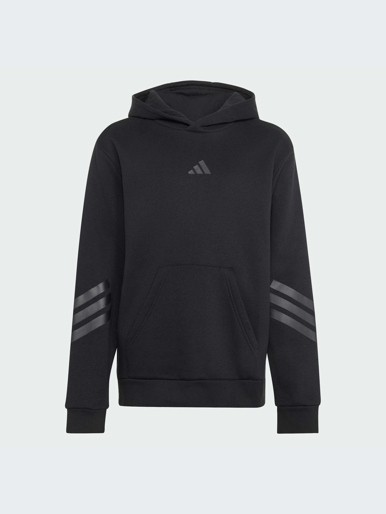 Худи и свитшоты Adidas Icons модель KR7312-KZ Фото