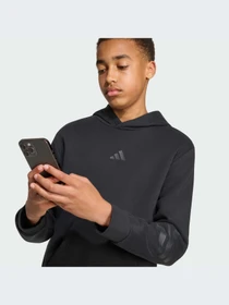 Худи и свитшоты Adidas Icons модель KR7312-KZ Фото