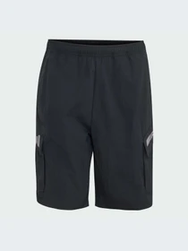 Шорты Adidas модель KW4365-KZ Фото