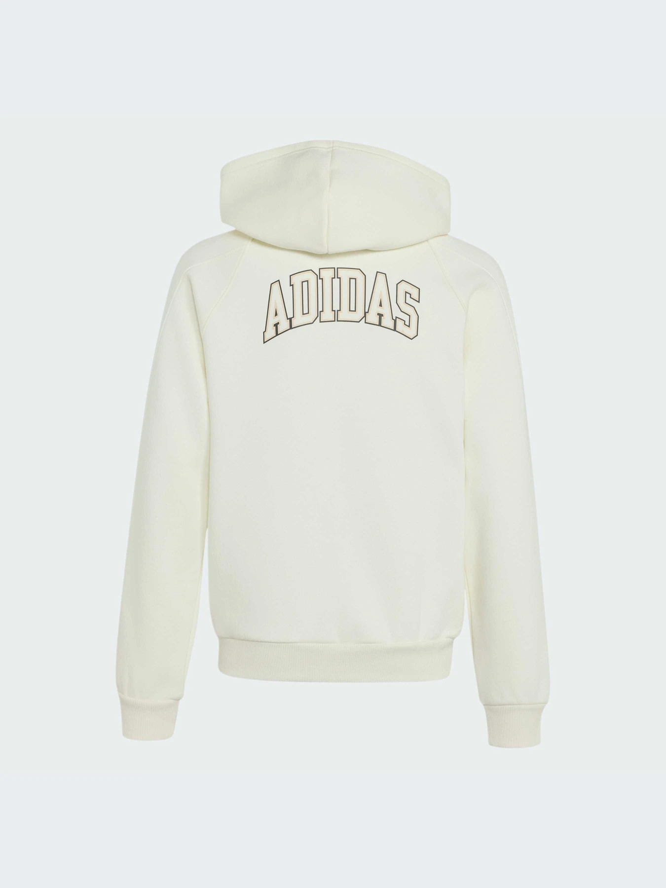 Худи и свитшоты Adidas модель KS5141-KZ Фото