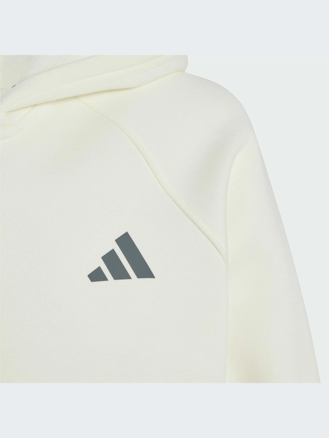 Худи и свитшоты Adidas модель KS5141-KZ Фото