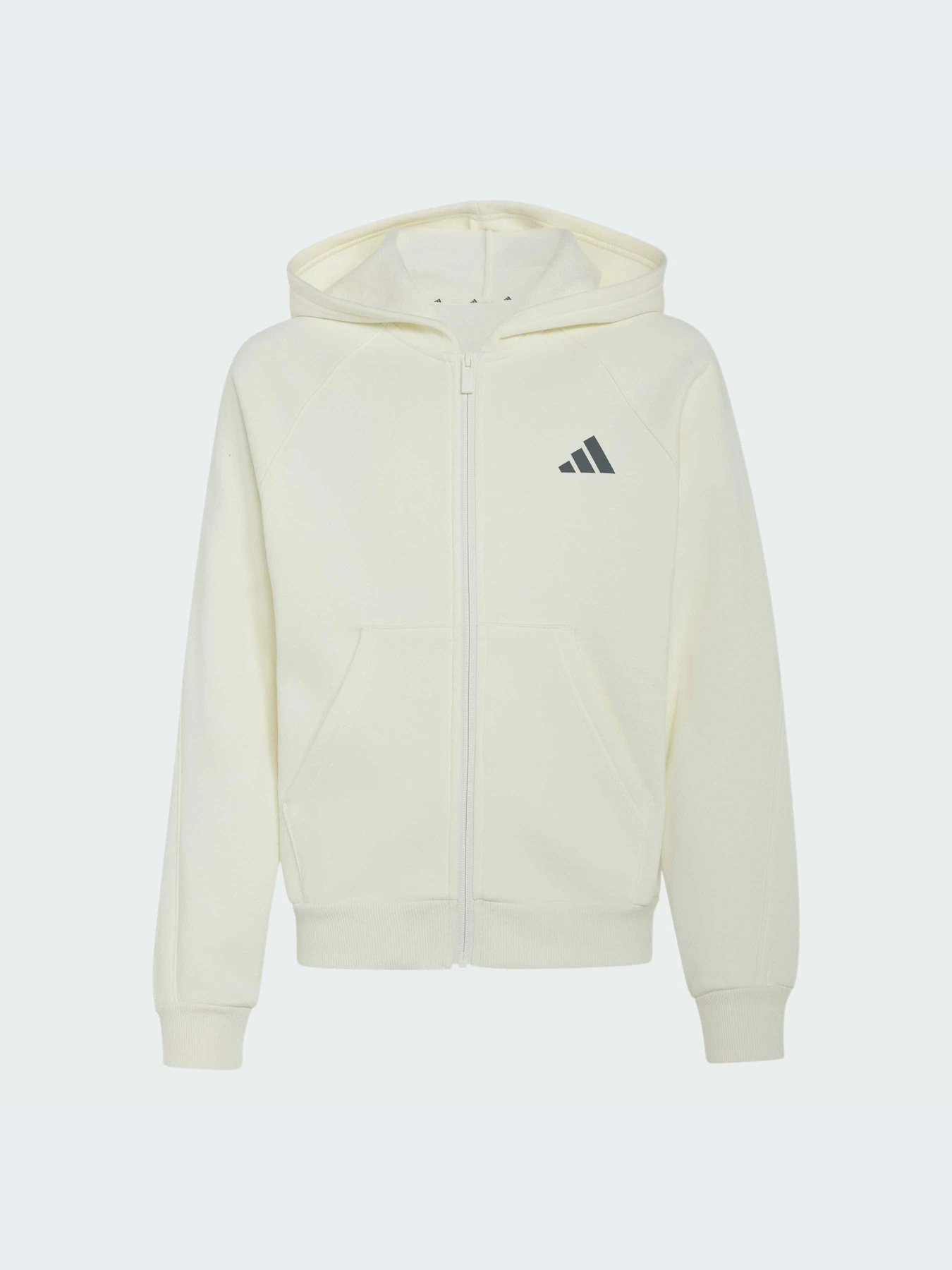 Худи и свитшоты Adidas модель KS5141-KZ Фото