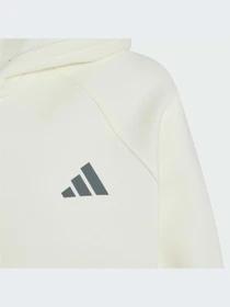 Худи и свитшоты Adidas модель KS5141-KZ Фото