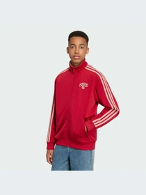 Худи и свитшоты Adidas модель KS4154-KZ Фото