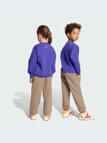 Костюмы Adidas модель KS3950-KZ Фото