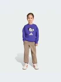 Костюмы Adidas модель KS3950-KZ Фото