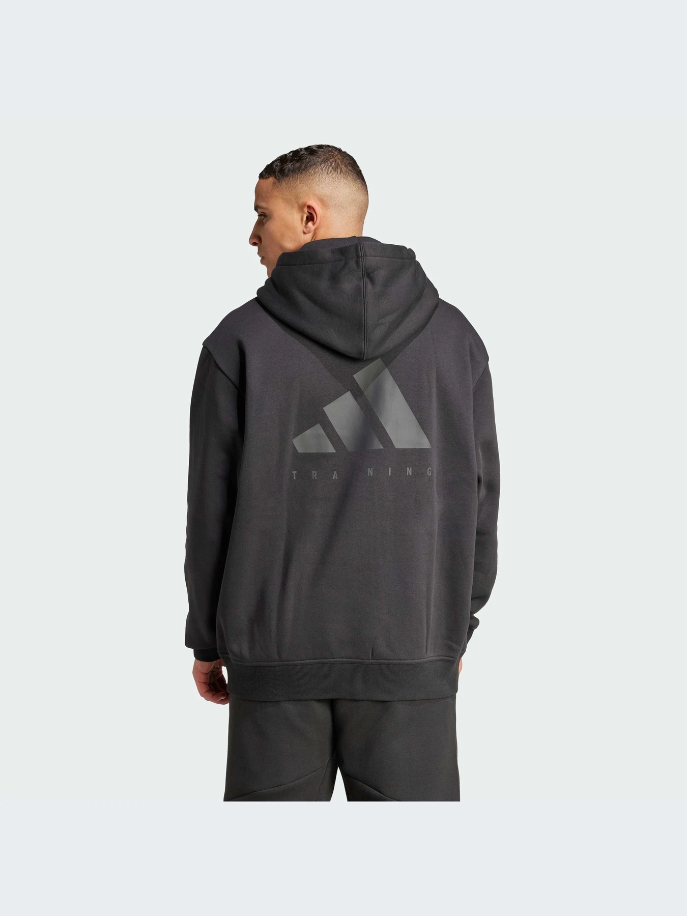 Худи и свитшоты Adidas модель JZ6248-KZ Фото