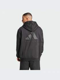 Худи и свитшоты Adidas модель JZ6248-KZ Фото