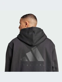 Худи и свитшоты Adidas модель JZ6248-KZ Фото