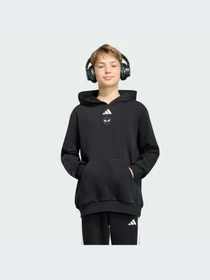 Худи и свитшоты Adidas модель KG6130-KZ Фото