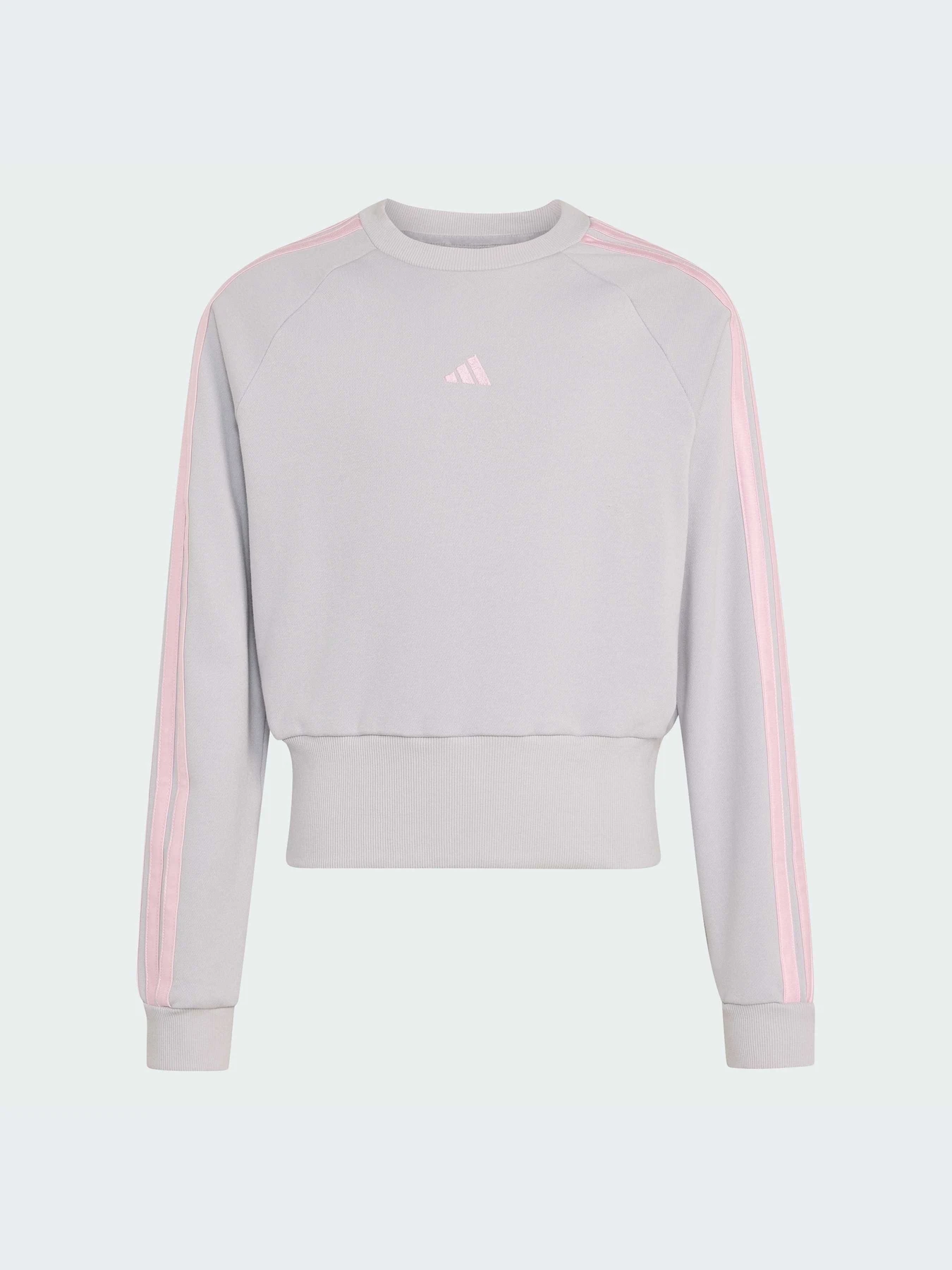 Худи и свитшоты Adidas модель KT2107-KZ Фото