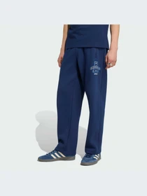Брюки Adidas Graphics модель IB7091-KZ Фото